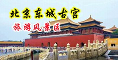 蜜穴Av中国北京-东城古宫旅游风景区
